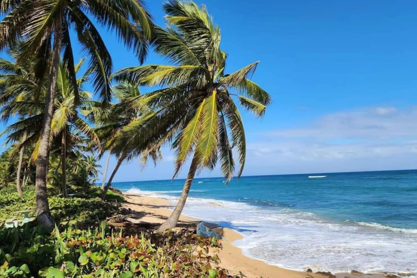 بيت للعطل White Paradise Beach House فيغا باخا بورتوريكو
